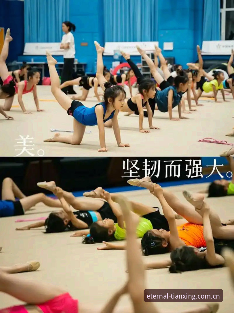 天行体育最新版对比实操教程:三分钟锁定适合你的版本
